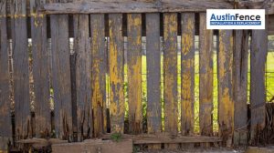 rotting wooden fence